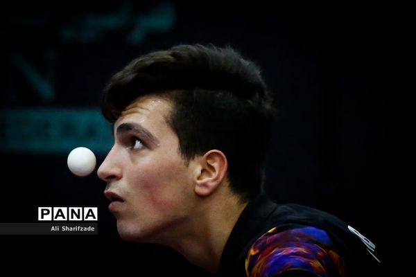 لیگ برتر تنیس روی میز