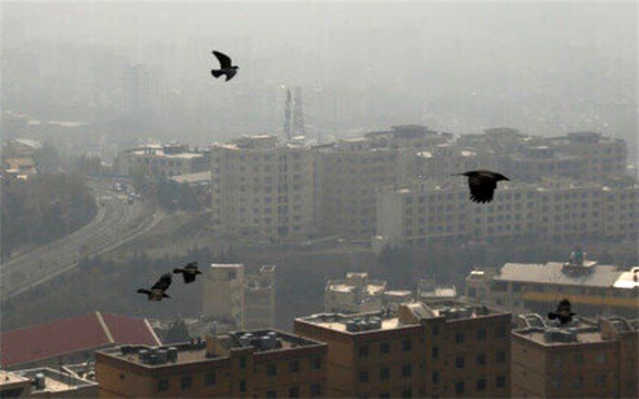 لزوم مشارکت دستگاه‌ها برای رفع معضل آلودگی هوا