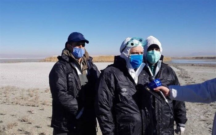 مهار کامل آنفلوانزای فوق حاد پرندگان در کشور