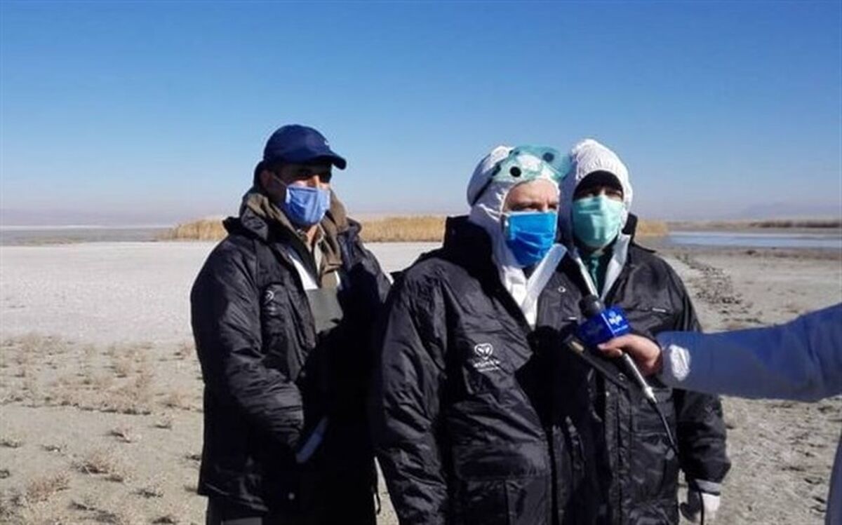 مهار کامل آنفلوانزای فوق حاد پرندگان در کشور