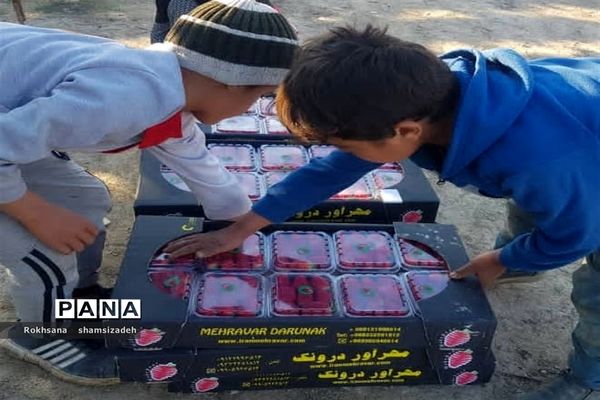 مزرعه پرورش توت فرنگی و گوجه فرنگی در  روستای درونک شهرستان امیدیه