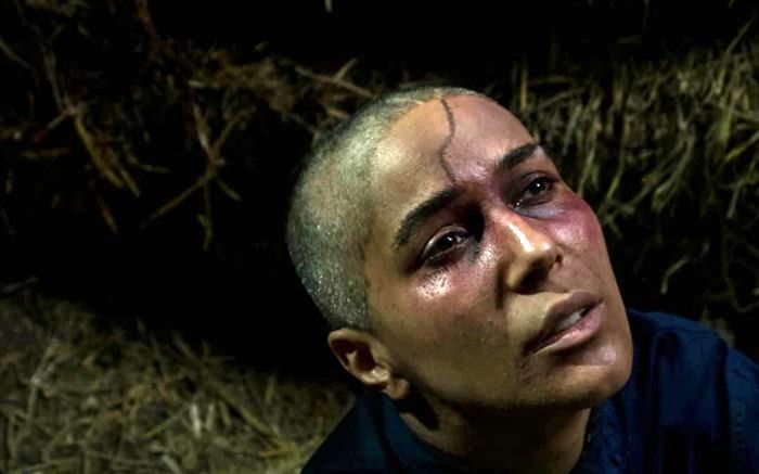 فیلم سینمایی «سرزمین آبی» از آمریکا و هند جایزه گرفت