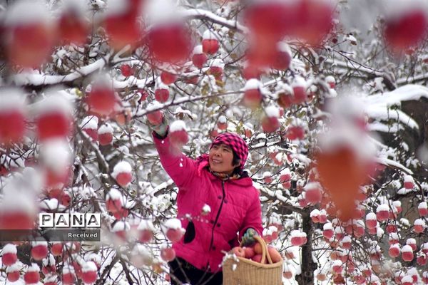 زمستان در کشورهای دیگر