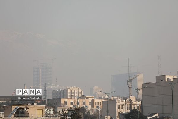 گمشده در دود