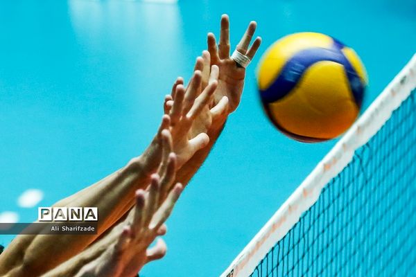 لیگ برتر والیبال