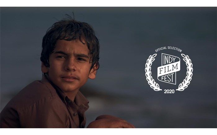 «بی‌گاه» در ایندیاناپولیس آمریکا