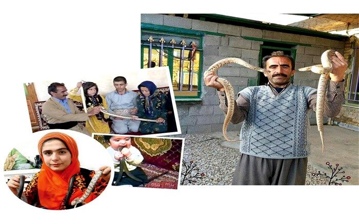 زندگی عجیب شهروند کرمانشاهی با خزندگان مرگبار + تصویر