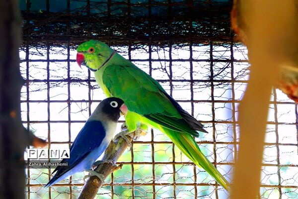 کانون فرهنگی تربیتی قدس