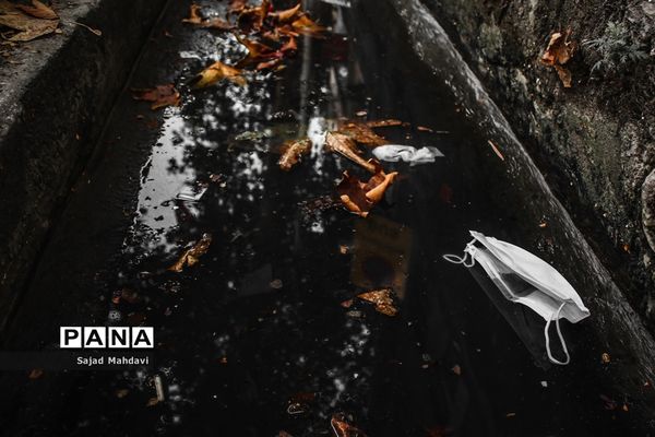 بازار ساری و کرونا