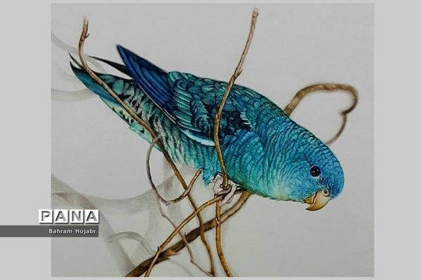 نمایشگاه مجازی آثار نقاشی و طراحی بهرام هژبر، معلم هنرمند اهل گله‌دار