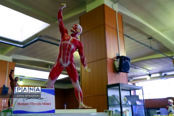 دستاوردهای شرکت صنایع آموزشی وزارت آموزش و پرورش