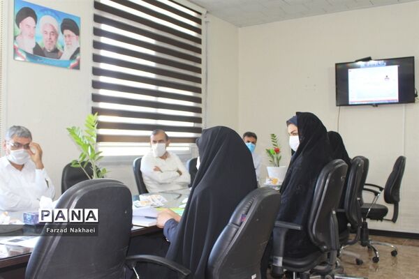 ویدئو کنفرانس، کمیته تخصصی پروژه ملی کنترل وزن و چاقی دانش آموزان
