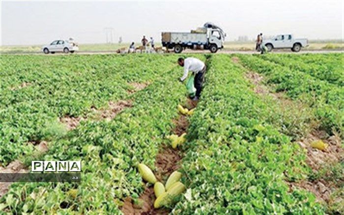 نقش خانواده روستایی در تامین امنیت غذایی موثر است
