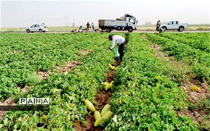 نقش خانواده روستایی در تامین امنیت غذایی موثر است
