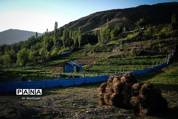 سفر به منطقه کوهستانی  البرز مرکزی