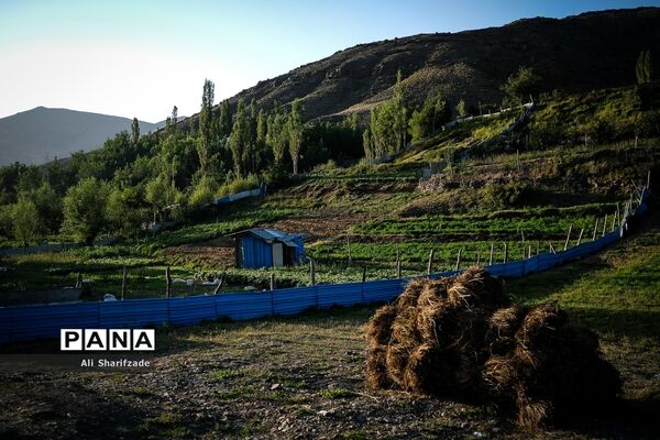 سفر به منطقه کوهستانی  البرز مرکزی