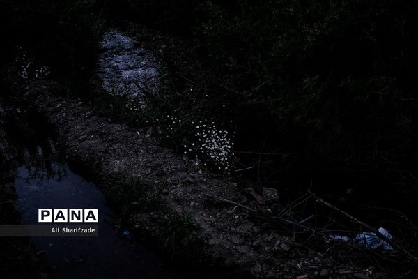 سفر به منطقه کوهستانی  البرز مرکزی