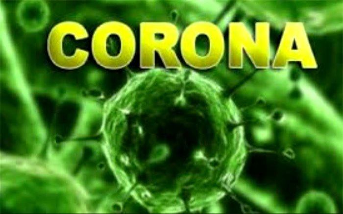 288 بیمار در بخش‌های کرونایی استان بوشهر بستری هستند