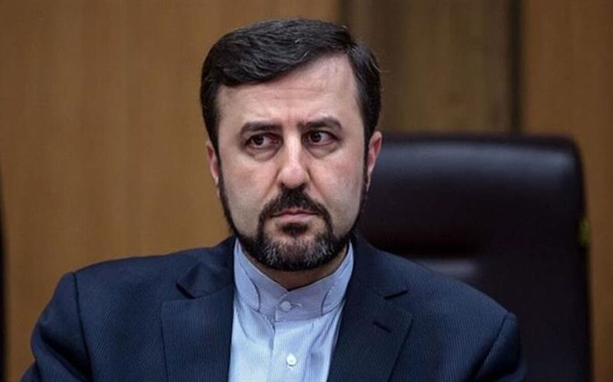 غریب‌آبادی: همکاری‌ ایران با آژانس صرفاً به انتخاب خود ایران صورت گرفته است
