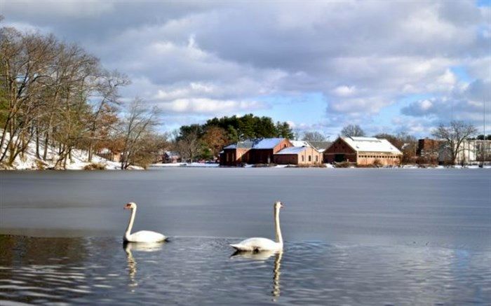 سواحل و تفرجگاه‌های رشت مسدود می‌شود
