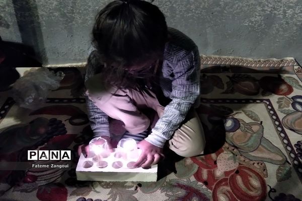 شام غریبان در امام زادگان باقریه