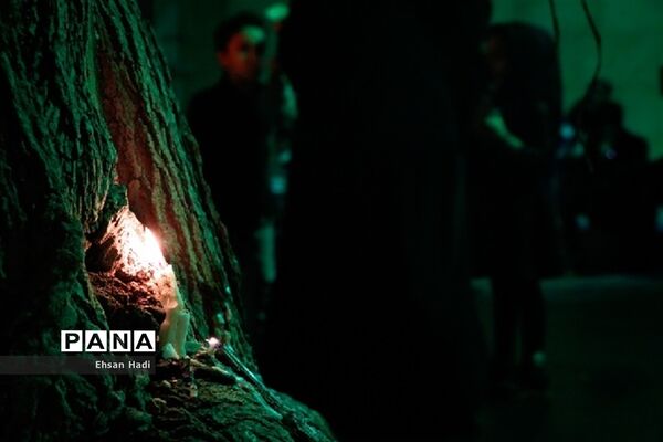 مراسم شام غریبان امام حسین (ع)در مشهد