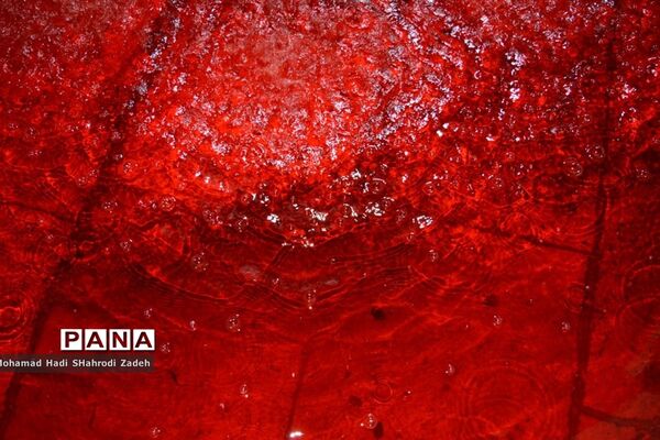 شب شام غریبان امام حسین(ع)در ناحیه یک مشهد مقدس