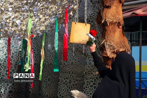 بازگشایی مدارس در منطقه 5