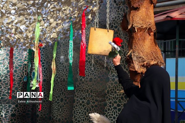 بازگشایی مدارس در منطقه 5