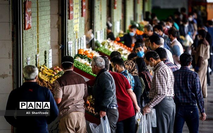 سبد مصرف میوه، سبزی و صیفی‌جات خانوارهای ایرانی کوچکـ‌‌تر شده است
