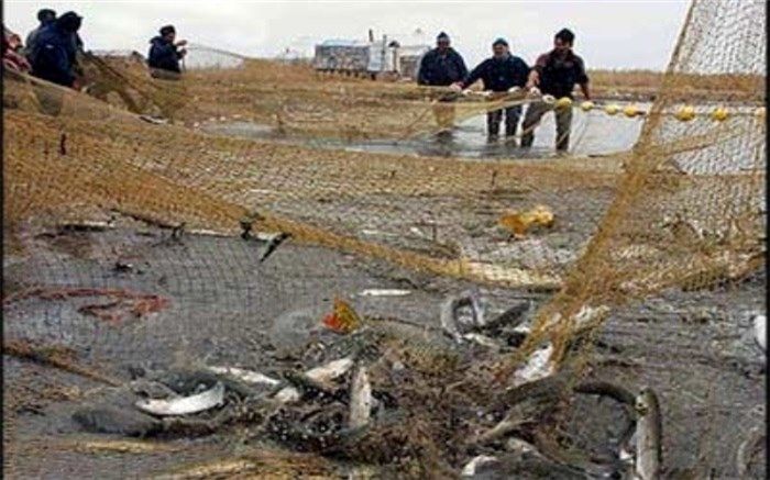 صیادان آزادشده از چنگال دزدان دریایی بیمه می‌شوند