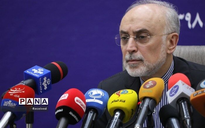 صالحی: آژانس درخواست دیگری برای بازرسی ندارد