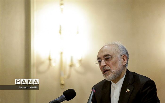 صالحی: آژانس برای اثبات ماهیت مستقل خود فعالیت‌های هسته‌ای عربستان را هم بررسی کند