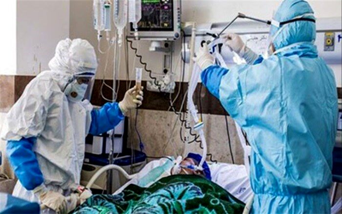۳۰۸ بیمار در بخش‌های کرونایی استان بوشهر بستری هستند