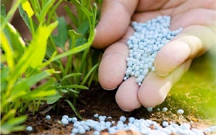 خاوازی پایش کیفیت انواع کودها را به موسسه تحقیقات خاک و آب واگذار کرد