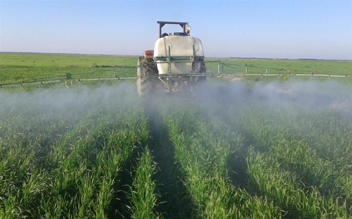آمادگی وزارت صمت برای تمرکز بر فرآیند ثبت سفارش سموم کشاورزی