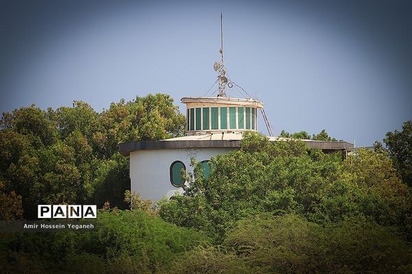 اجرای طرح آزادسازی سواحل جزیره کیش