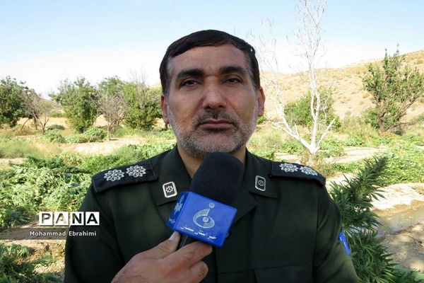 کشف مزرعه شاهدانه توسط سربازان گمنان امام زمان (عج) در سپاه ناحیه سمنان