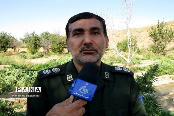 کشف مزرعه شاهدانه توسط سربازان گمنان امام زمان (عج) در سپاه ناحیه سمنان