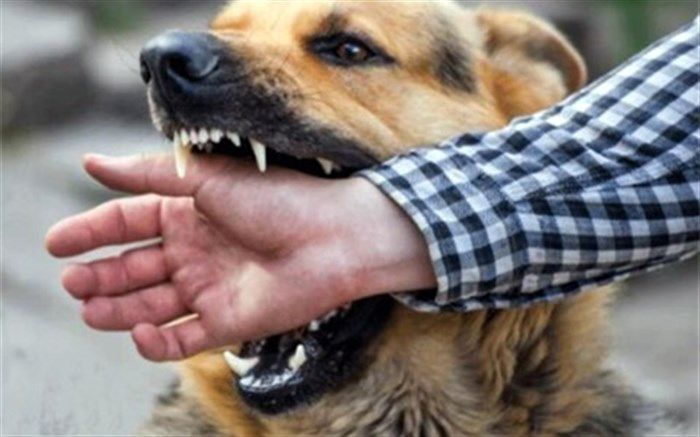 بیماری هاری و راه های مبارزه با آن