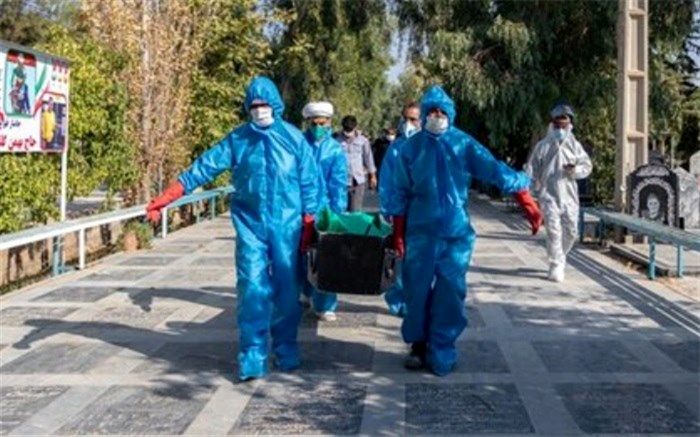 کسب و کار سلطان قبر به هم ریخت