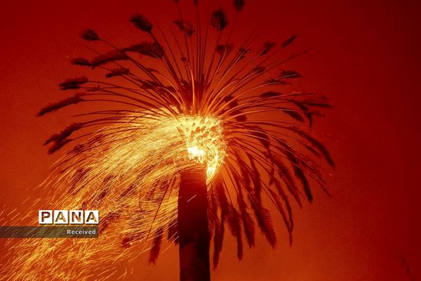 آتش سوزی در کالیفرنیا