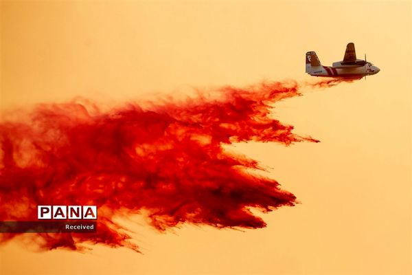 آتش سوزی در کالیفرنیا