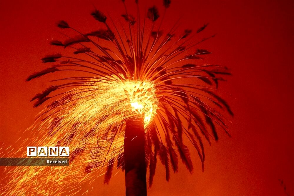 آتش سوزی در کالیفرنیا