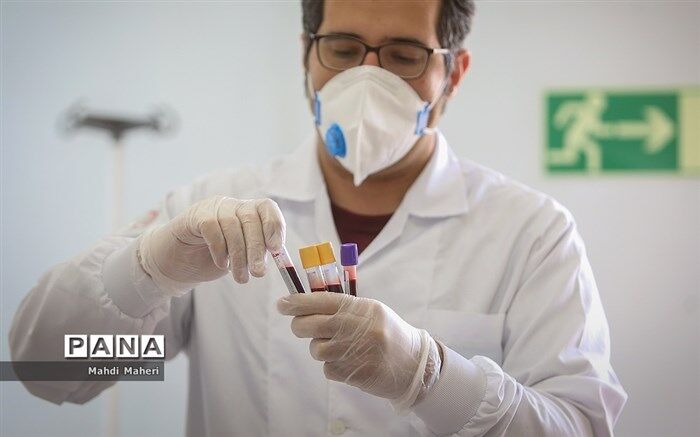 کدام استان‌ها بیشترین میزان اهدای پلاسما را دارند؟
