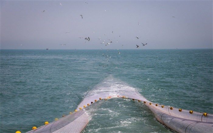 صید میان آبی جایگزین « ترال» می‌شود؟