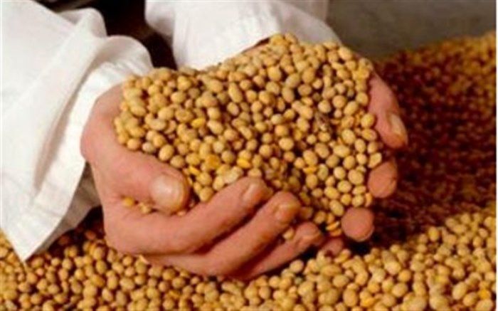 توزیع ۲۳۲ هزار تن نهاده‌های دامی در آذربایجان‌شرقی