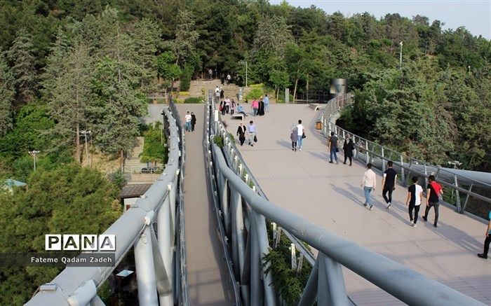 آغاز افزایش ارتفاع حفاظ پل طبیعت