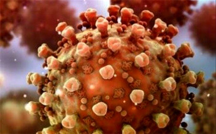 ردپای کرونا ویروس در آبزیان