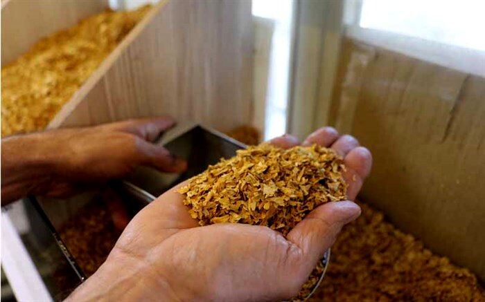 کشف ۹۵۰۰ کارتن تنباکوی تاریخ مصرف گذشته در جنوب تهران